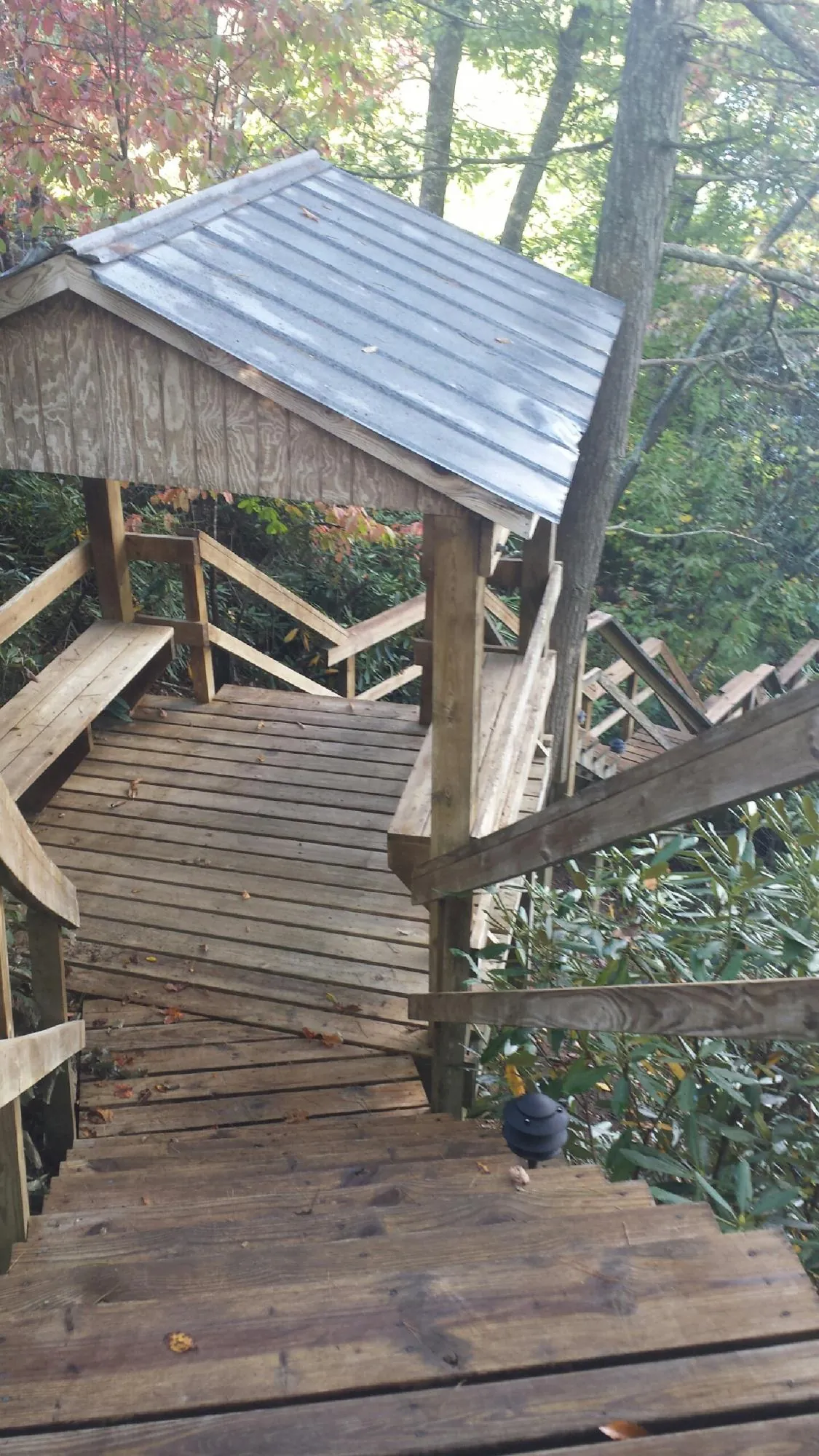 Metal roofed shelter over wooden steps on a wooded walkway — Skylight Repair & Installation work by our crew in Corvallis