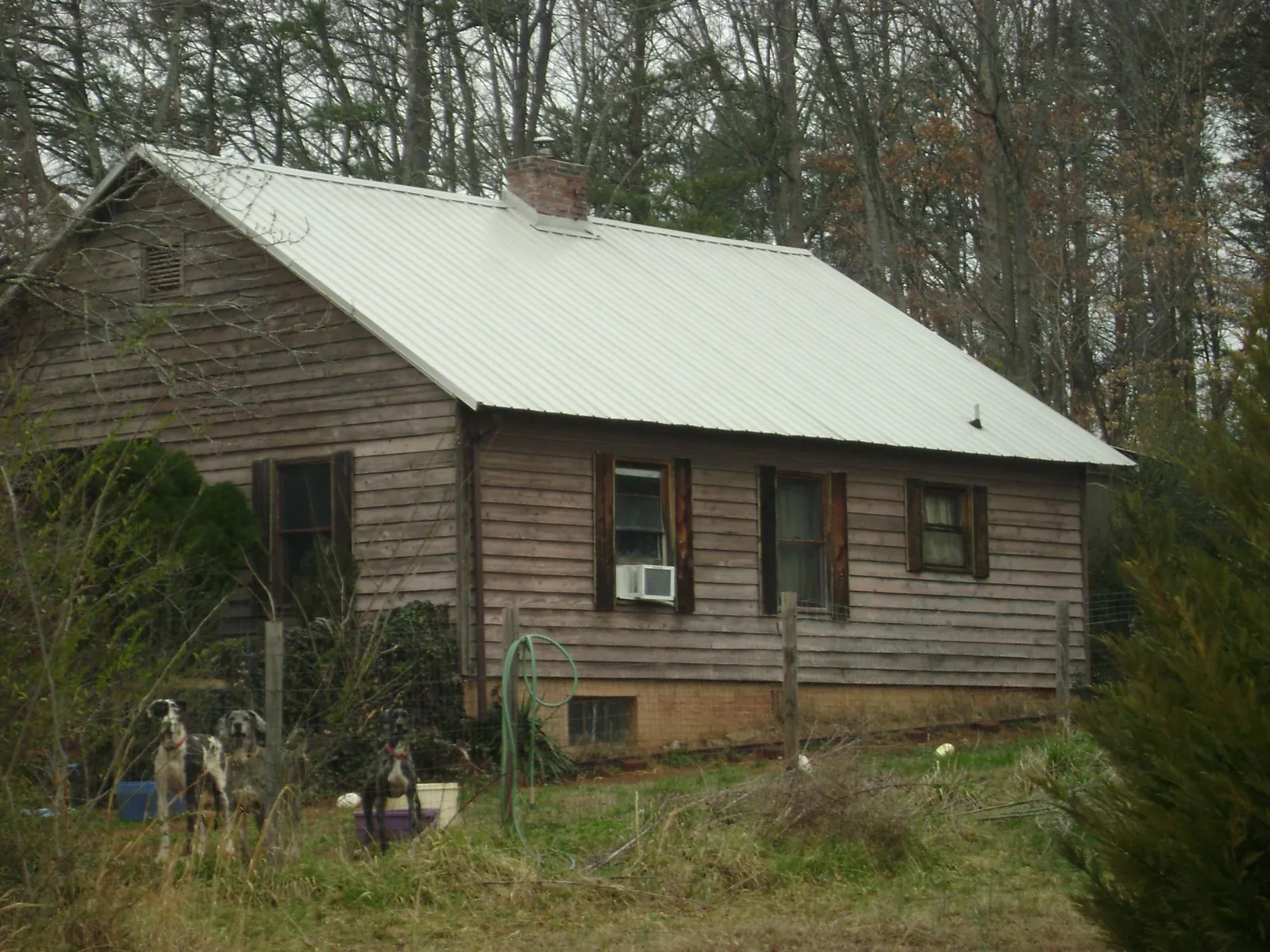 White metal roof on an old wood sided farmhouse, from a Metal Roof Installation job in Corvallis